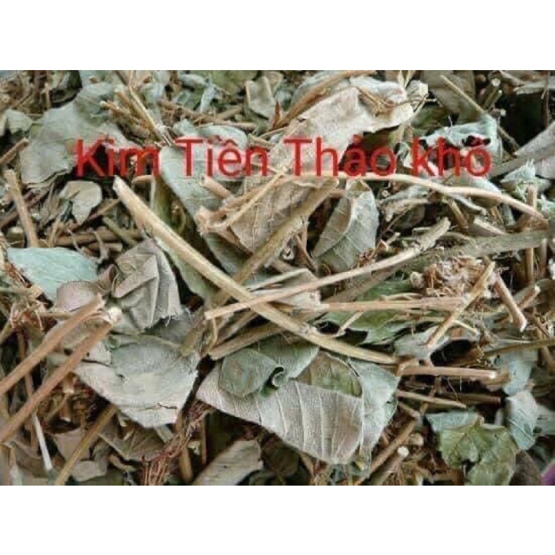 1Kg Kim tiên thảo khô,cực tốt cho người sỏi thận