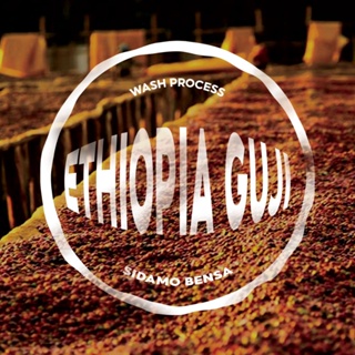 Cà phê nhân xanh Green bean Ethiopia Sidamo Guji Bensa