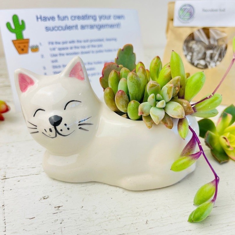 Nến thơm hình thù các con vật