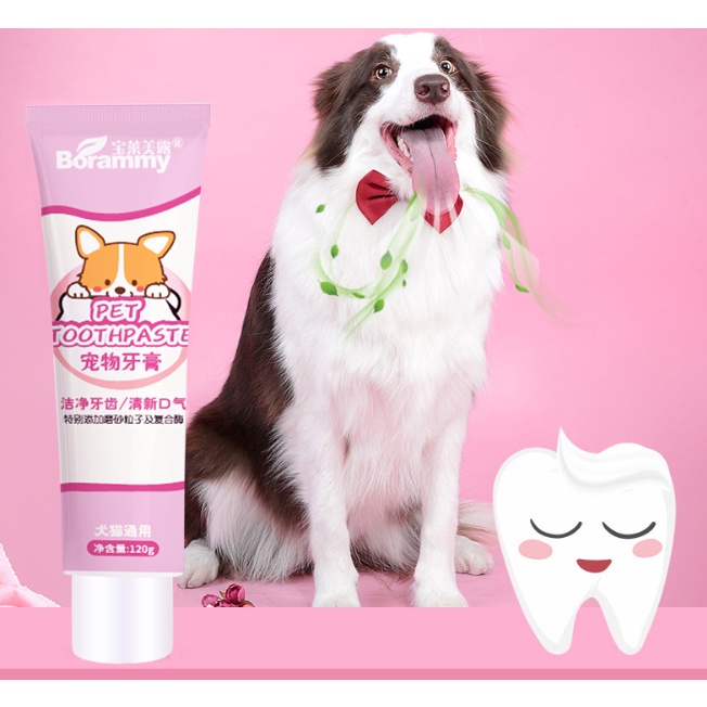 🌷BỘ KEM ĐÁNH RĂNG BORAMMY + KÈM BÀN CHẢI SILICON SIÊU MỀM BẢO VỆ NƯỚU CHO THÚ CƯNG