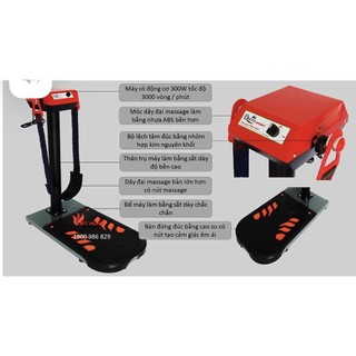Máy rung bụng đúng Massage PHÚC THÀNH SPORT