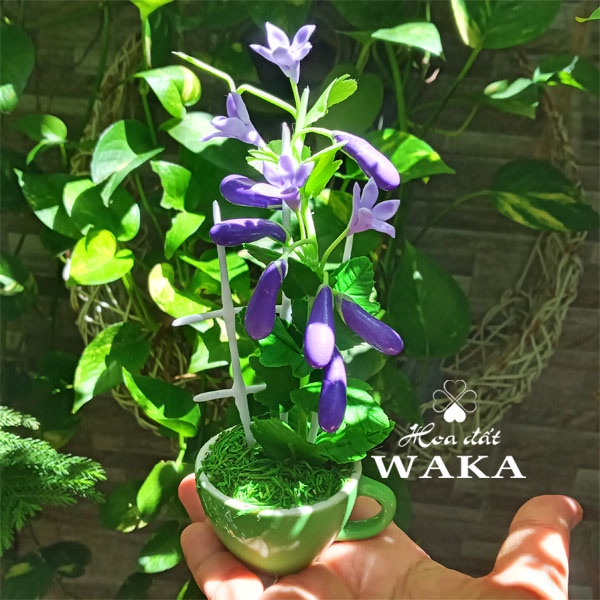 Hoa Đất Sét Mini- Cà Tím