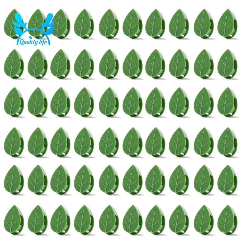 Bộ 60 Kẹp Cố Định Cây Dây Leo Gắn Tường Tiện Dụng
