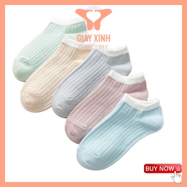 Combo 2 Đôi Tất Nữ Hot Trend, với nhiều mẫu mã tha hồ lựa chọn