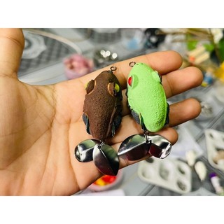 NHÁI HƠI CÓC LỚN THÁI