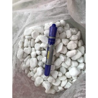 - Sỏi Trắng TRUNG - sỏi trắng trang trí - size Trung - sỏi dùng trang trí hồ cá, cây cảnh. Sỏi trắng trang trí.