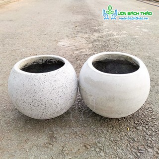 [HÀNG THANH LÝ] Các mẫu chậu thanh lý