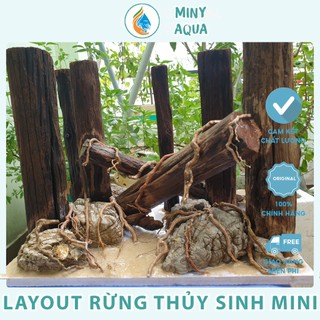 Layout rừng thẳng thủy sinh mini để bàn