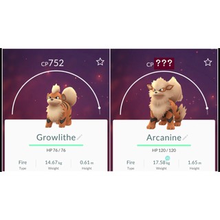 [Tổng hợp] Growlithe Evolution Collection