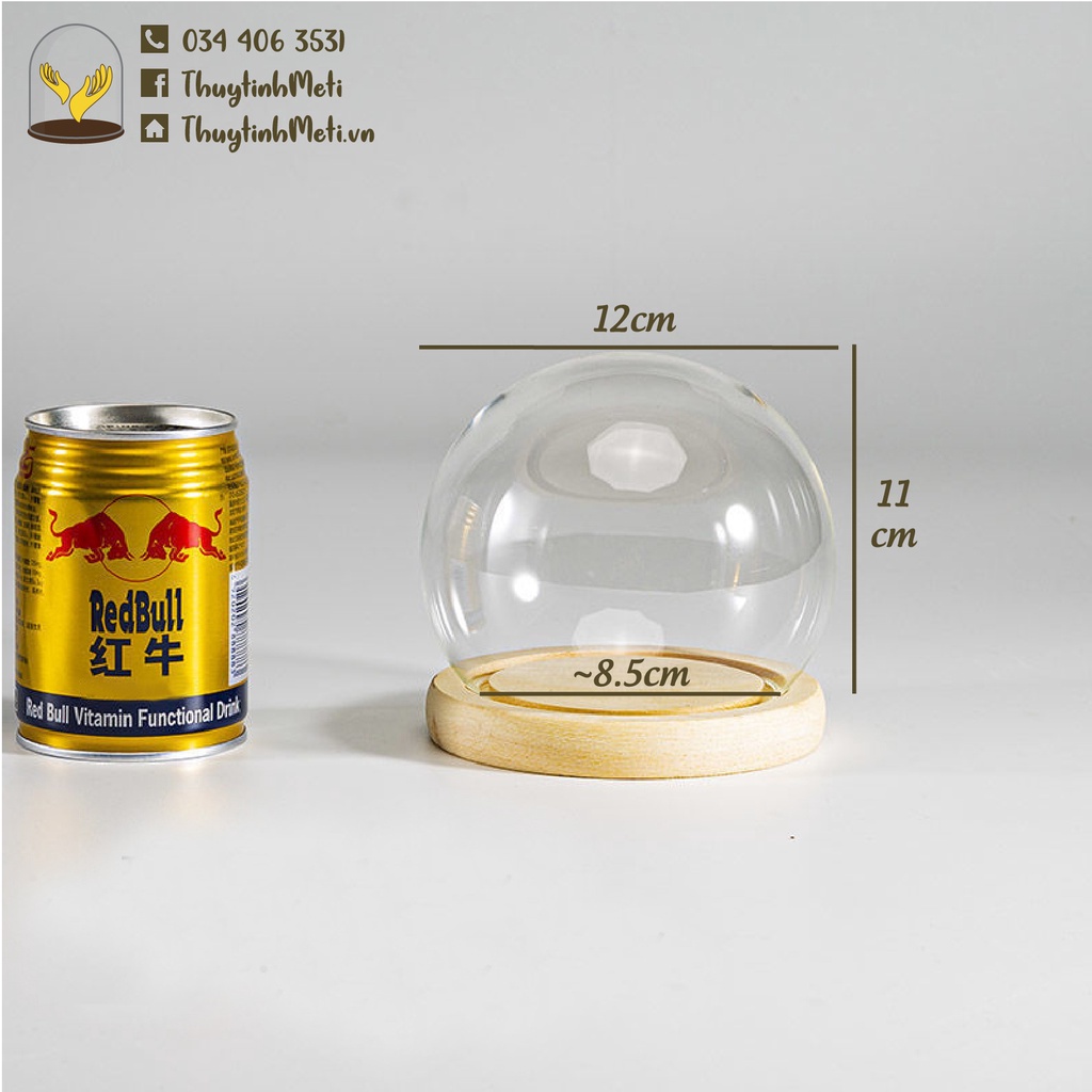 Chụp thủy tinh đế gỗ hình cầu đường kính 12cm, kích thước tùy chỉnh theo yêu cầu