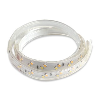 Đèn LED dây 9w đổi màu Rạng Đông