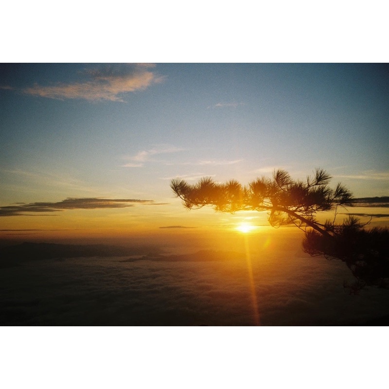 Máy ảnh film pentax espio 125M