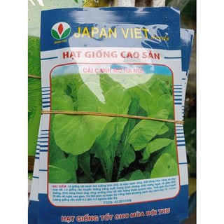 Hạt giống cải canh mơ Hà Nội