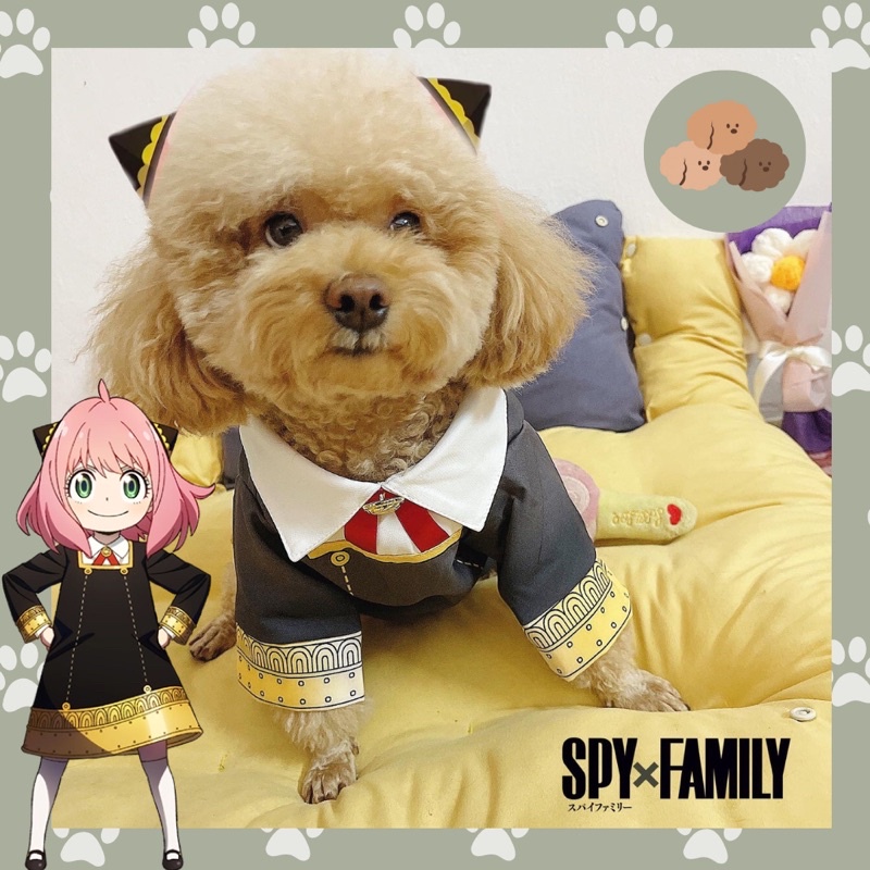 Quần áo cho chó mèo cosplay Anya Forger Spy X Family
