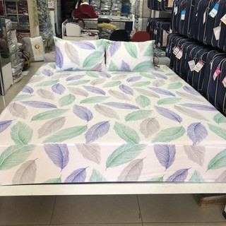 Bộ ga chun 150x190 Sông Hồng cotton không chần