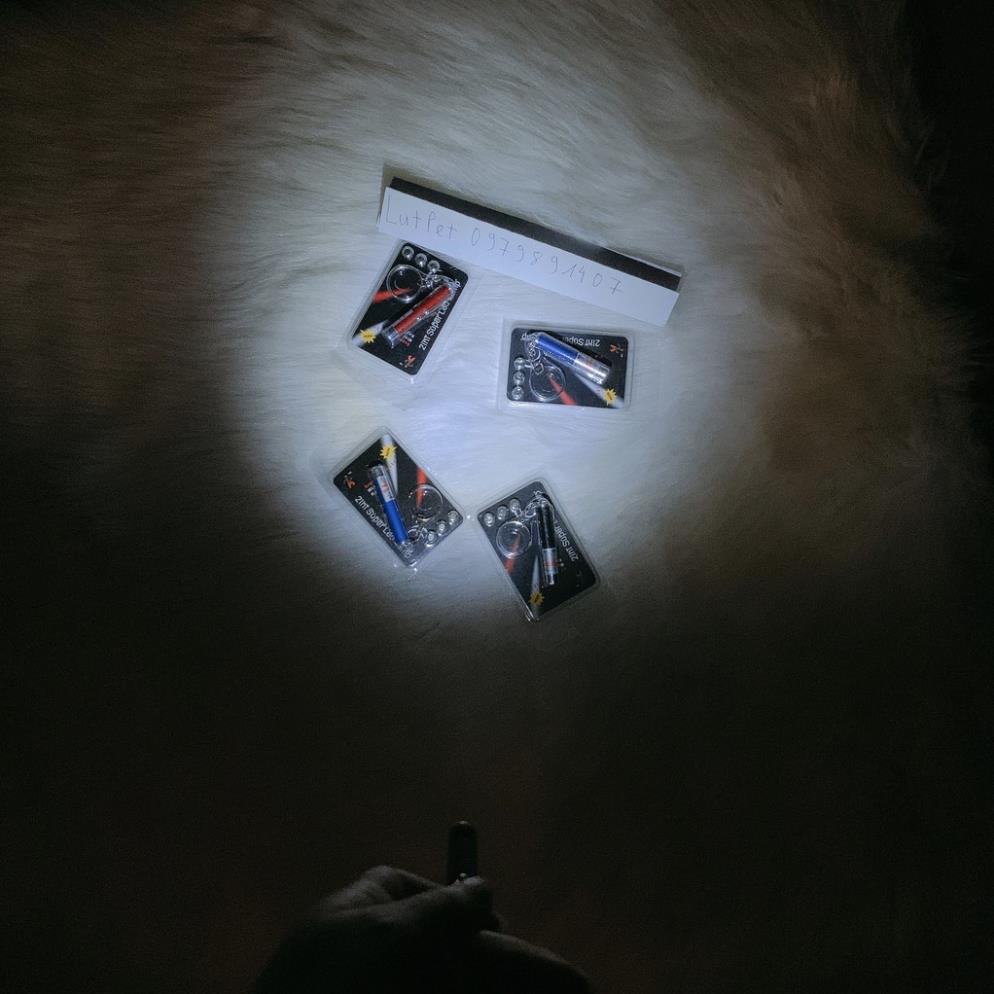 Đèn laze đồ chơi chó mèo Orgo Bút laser 2 trong một phụ kiện móc treo chìa khóa.
