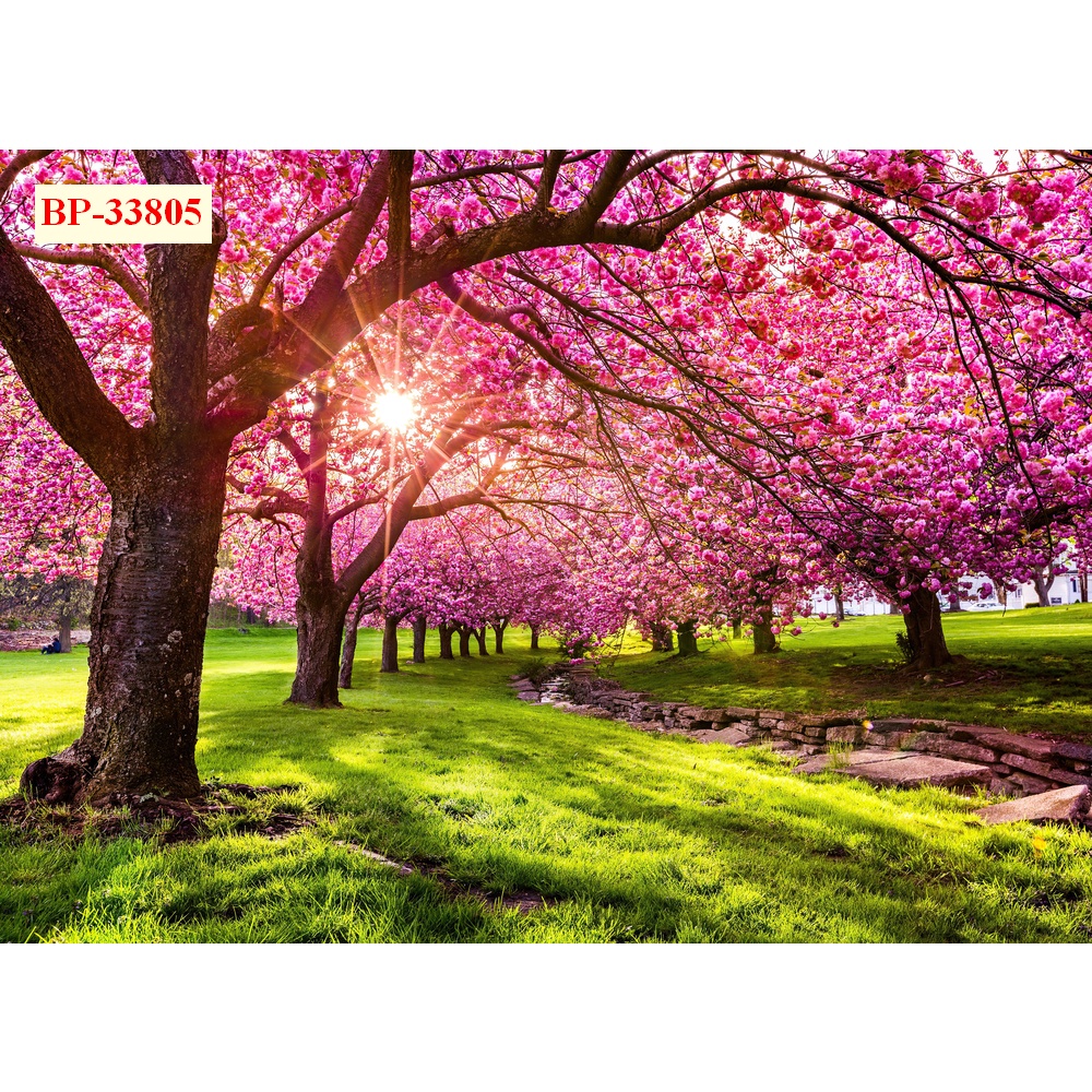 Tranh Dán Tường Cây Lá In 3D Cao Cấp chất lượng cao