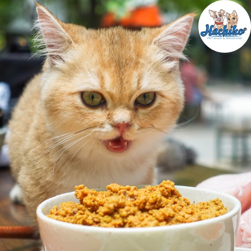 Pate tươi Kim Pet dành cho Chó/Mèo đủ vị