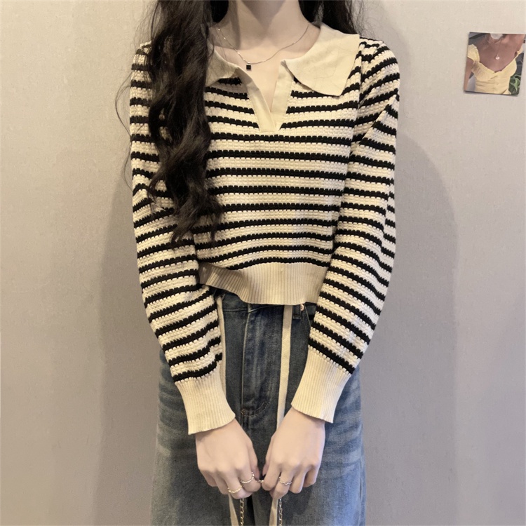 Áo Sweater Dệt Kim Tay Dài Cổ Tròn Cho Nữ