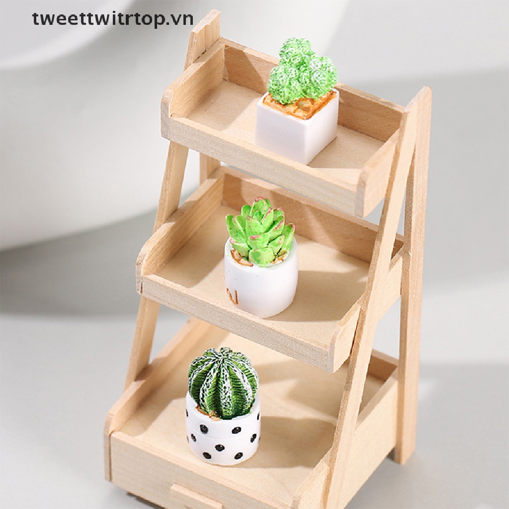 Chậu Cây Xương Rồng Mini Trang Trí Nhà Búp Bê