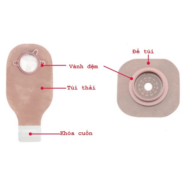 Đế Hậu Môn Nhân Tạo 2 Mảnh- Hollister Đế Bằng có viền băng keo