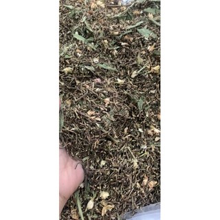 Trà Hồng Sâm nguyên bản( túi 300g)