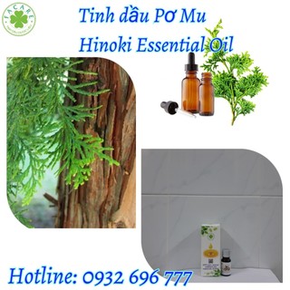 Tinh dầu pơ mu hinoki essential oil - 10ml/50ml/100ml