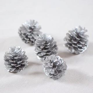 Quả Thông Tròn 3cm/4cm/5cm/6cm/8cm GS026