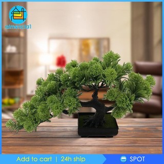 Chậu Cây Bonsai Giả Trang Trí Nội Thất