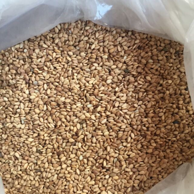 1KG Mè vàng (Vừng vàng) Sạch Tự Nhiên Không Chất Bảo Quản chuẩn đẹp _ Nấu xôi, nấu cháo, nấu chè, làm bánh