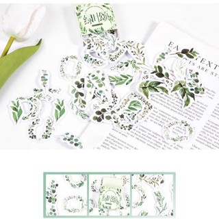 Hộp 45 hình dán sticker lá cây