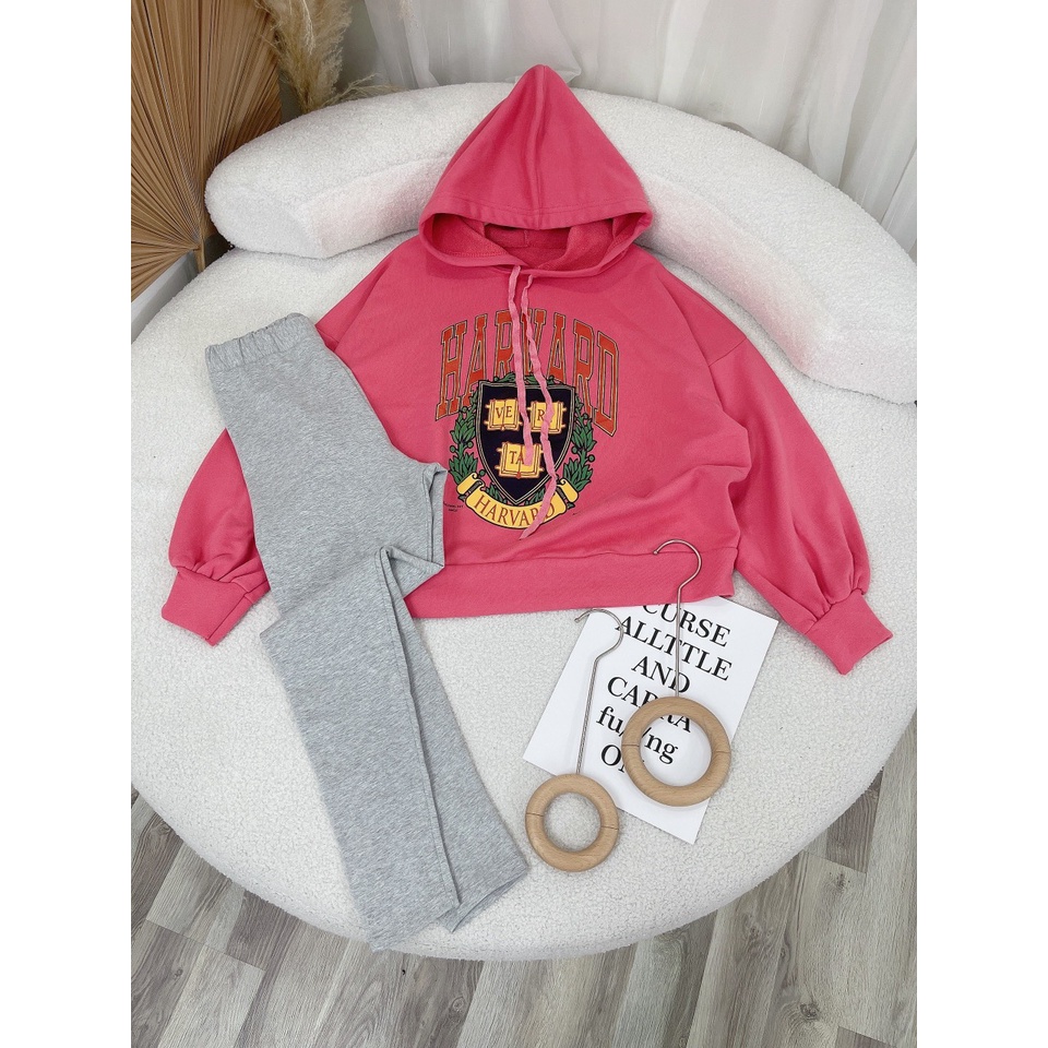 SET ÁO HOODIE HỒNG IN HÌNH + QUẦN LEGGING XÁM (TH)