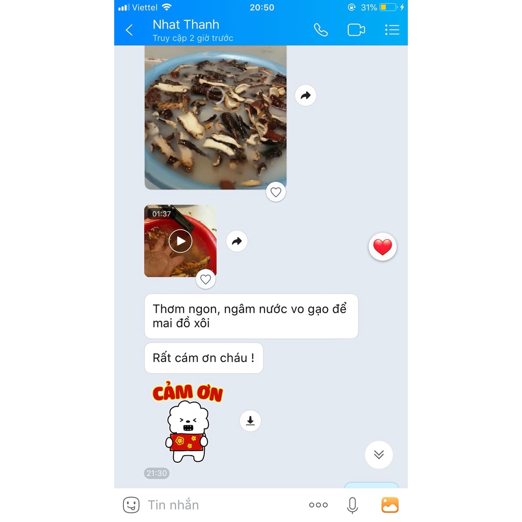 HÀ THỦ Ô TRẮNG KHÔ