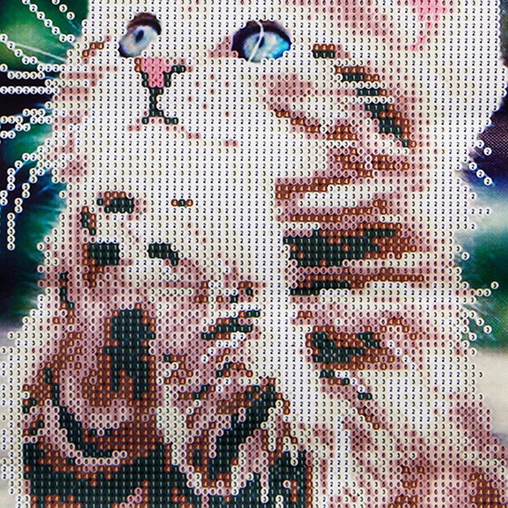 Bộ Tranh Đính Đá 5D Tự Làm Hình Mèo Dễ Thương Trang Trí Nhà Cửa