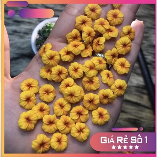 6,5k/1 bông, hoa bột nail