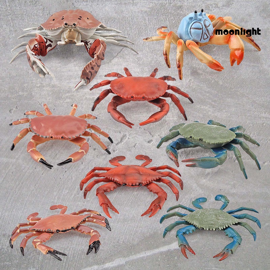 Đồ Chơi Mô Hình Con Cua Tạo Hình Phát Triển Trí Thông Minh Cho Trẻ Em