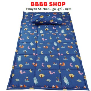 [FREE SHIP] NỆM VĂN PHÒNG RIOTEX 80X190CM - Giá xưởng