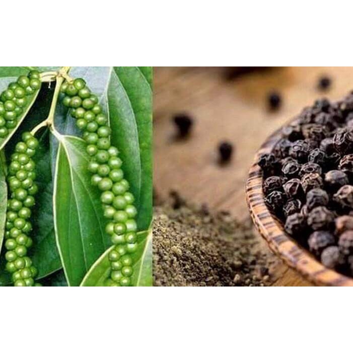 1KG Hạt tiêu đen _ Hàng LOẠI 1_ Hồ tiêu đen - hạt tiêu đen Tây nguyên - Hạt tiêu sạch 100%