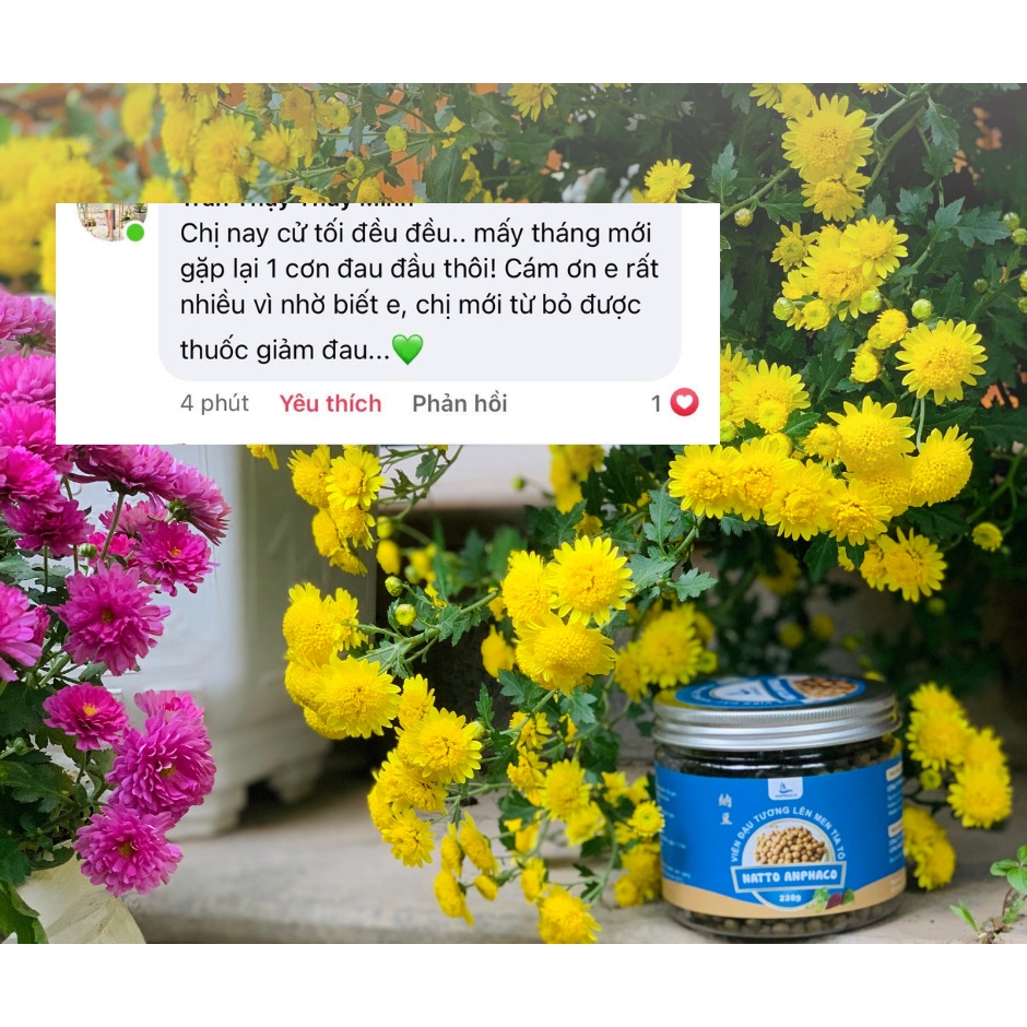 NATTO ĐẬU NÀNH LÊN MEN HỮU CƠ ANPHACO 2 HỘP BỘT