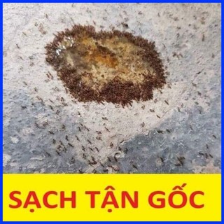 THUỐC DIỆT KIẾN,GIÁN,MỐI,THUỐC DIỆT CÔN TRÙNG