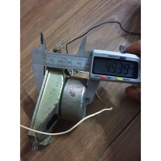 Củ loa toàn dải  Foster