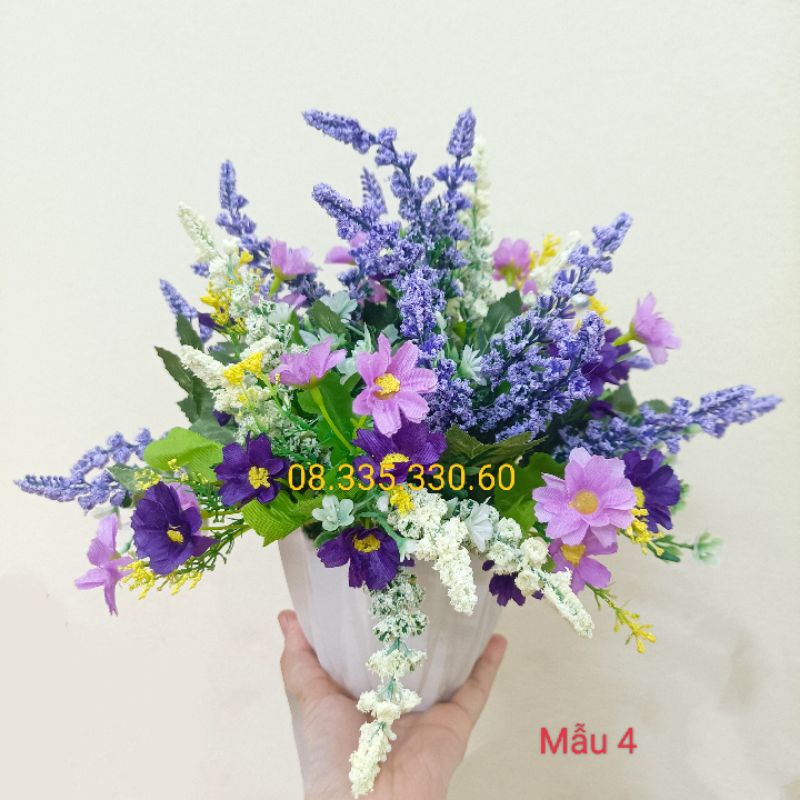 Chậu hoa để quà tặng ý nghĩa 20/10, 20/11, nhiều mẫu, nhiều màu