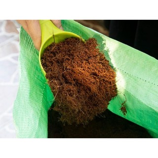 (PHẠM GIA FARM)  túi xơ dừa trồng cây và ươm hạt