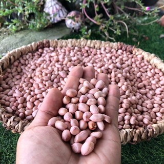 Đậu phộng lý sơn olvis 1kg - đặc sản lý sơn chính gốc.
