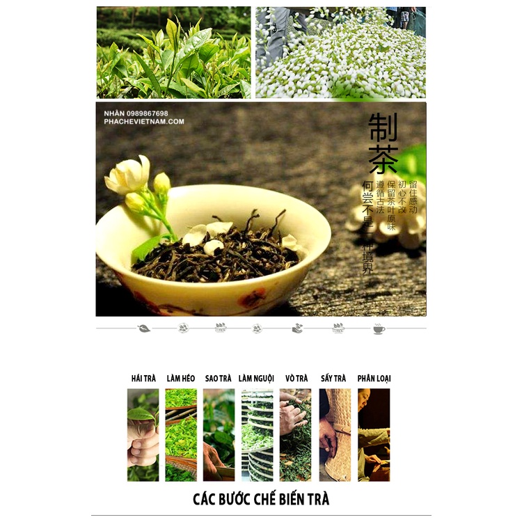 Trà nhài / Trà lài Sablee