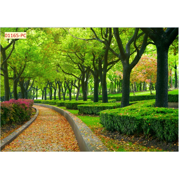 Tranh 3D Dán Tường Hàng Cây Khổ Lớn mẫu mới nhất