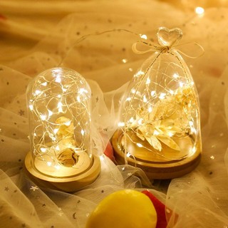 Dây Đèn Led Trang Trí Tiệc