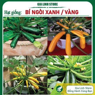 Hạt giống bí ngòi xanh - vàng f1 gói 10h