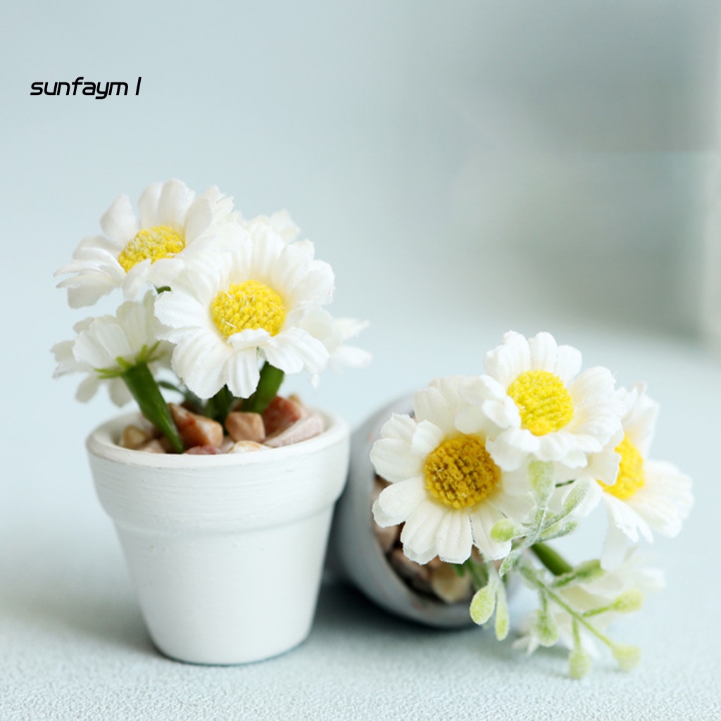 Chậu Cây Cảnh Mini Tỉ Lệ 1: 6 / 1: 8 Dùng Để Trang Trí Nhà Búp Bê