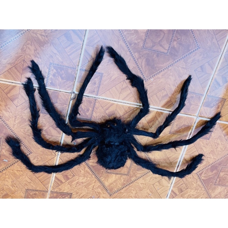 Nhện trang trí HALOWEEN